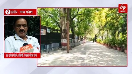 दुनिया के लिए रहस्य बने ब्लैक मेलेनिस्टिक टाइगर, इंदौर में जन्म ले सकता है भारत में पहला काला बाघ