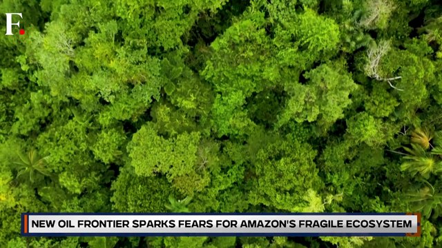 Brazil Approves Petrobras Oil Drilling In Amazon As Climate Activists Raise Alarm | Planet Pulse
