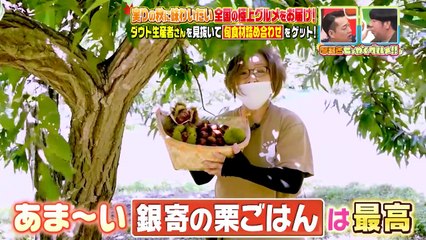 バナナマンの早起きせっかくグルメ!!2025年日10月26日実りの秋にぜひ味わいたい極上グルメをお届け！