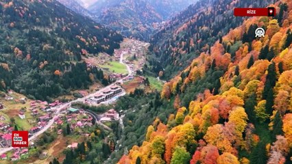 Rize'de Ayder Yaylası'nda sonbahar renkleri hakim oldu