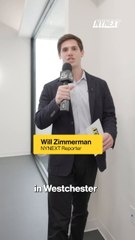 NYN SEEQC-VERTICAL V04