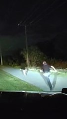 Hero cop’s quick thinking saves child running down busy Florida highway