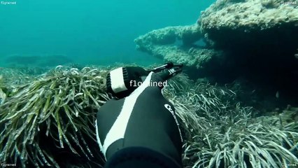 Formula 1 Drive To Survive_S02E03_Dogfight