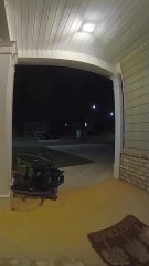 Boy takes a tumble while taking out the trash