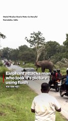 Elephant attacks man who took its picture using flash
