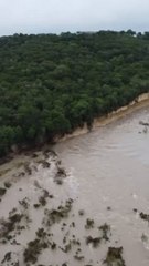 Floodwaters send trees crashing into San Gabriel river in Leander, Texas