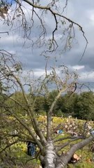 Massive crowd stands outside of Oasis concert on 'Gallagher Hill'