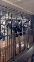 Flooding forces NYC commuters to CLIMB out of subway