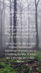 "These are not verses of man, but a clear reminder from the Most Merciful. 💫" #QuranicVerse #SurahYaseen #DivineMessage #Guidance #IslamicReflections