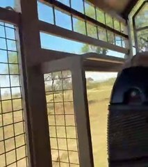 Josephine: Το ταξίδι ζωής στη Νότια Αφρική και το safari με τον... Αντώνη Ρέμο!