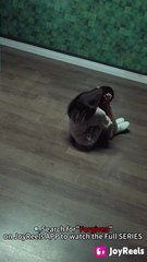 the lost heiress never forgiven💖(telegram@linkeex)