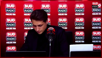 Les attaques d'ours se multiplient contre le bétail dans les Pyrénées, les éleveurs sont à bout !