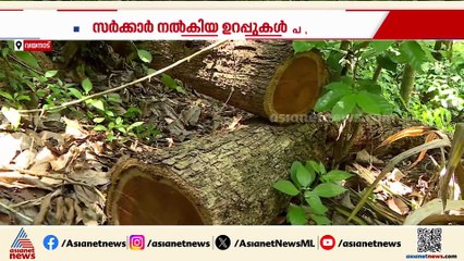 മുട്ടിൽ മരം മുറിക്കേസ്: സർക്കാർ ഉറപ്പുകൾ പാഴായി, പറ്റിക്കപ്പെട്ട ആദിവാസികൾ കുരുക്കിൽ