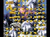 Donkey Kong Country (SNES) Animal Buddy Bonus Practice
