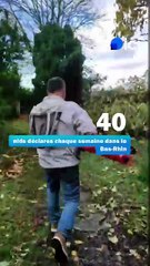 Frelons asiatiques : les habitants de Griesheim-sur-Souffel assistent à la destruction d'un nid