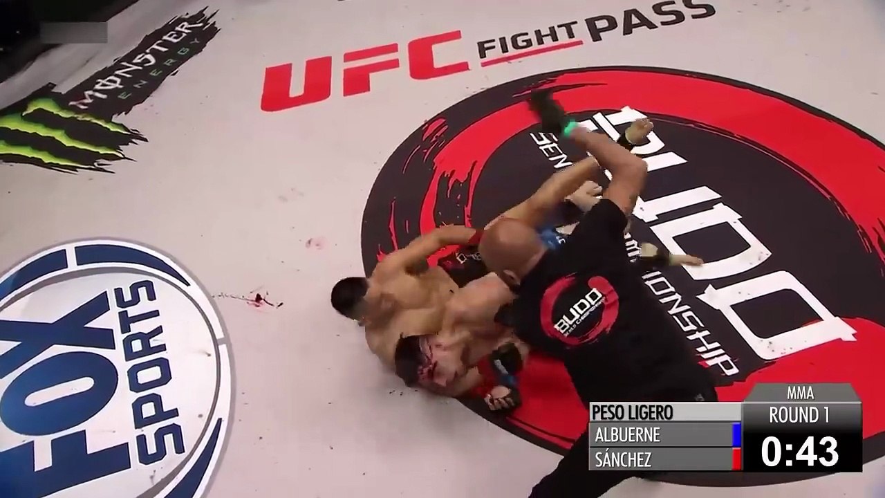 Brutal MMA Submissions 2025  Part 56  Chokes, Armbars & Tap Out Finishes