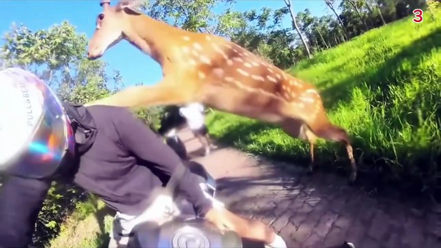 Top 100 Funniest Moments of All Time 😂 | Epic Fails, Pranks & Hilarious Clips Compilation 2025 # funny video