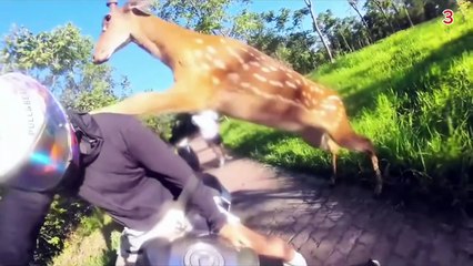 Top 100 Funniest Moments of All Time 😂 | Epic Fails, Pranks & Hilarious Clips Compilation 2025 # funny video