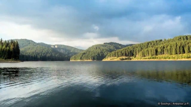 Musique Lo-Fi Solitude 🎧 Pour Étudier, Dormir et Méditer Musique Calme, Détente & Réflexion Profonde (SooChrys)