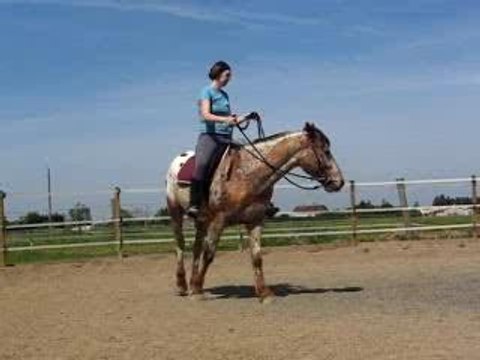 tourne, tourne, tourne