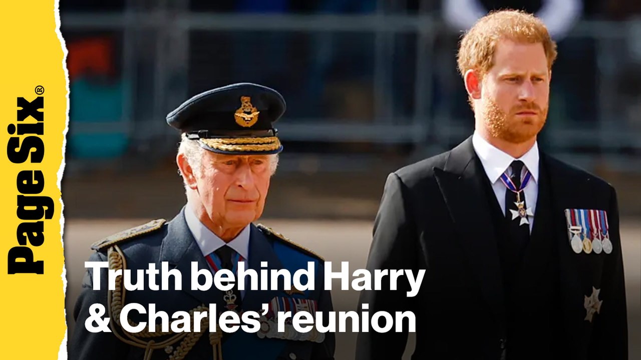 Prince Harry reunion with King Charles was not 'Treaty of Versailles'