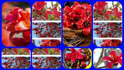 Ncert class 10th science chapter 13 question answers | Magnetic Effects of Electric Current#class10