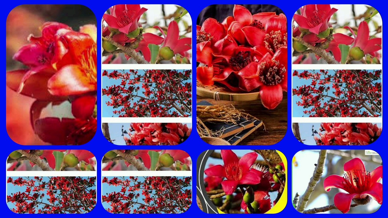 Ncert class 10th science chapter 13 question answers | Magnetic Effects of Electric Current#class10