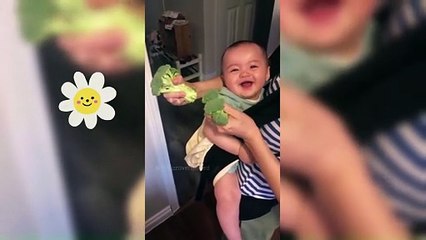 Funny baby laughing Videos _ Cute Baby videos collection