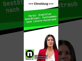 Ermittler bestätigen: Festnahmen nach Louvre-Kunstraub