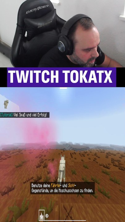 Diesmal spiele ich als Wolf in Minecraft und jage die Moschusochsen. Ziel: Sie in die Falle locken! Wird der Plan funktionieren oder geh ich selbst rein? 😅 #Minecraft #Tokatx #Wolf #Shorts