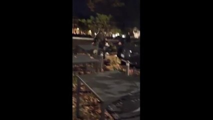 Verona, rissa sul lungadige. Le immagini della devastazione