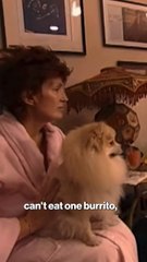 Watch Ozzy Osbourne's best TV moments following his death