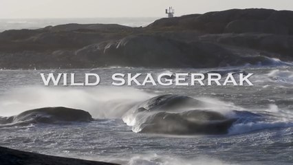 Documental - Skagerrak salvaje - 🌊 "SKAGERRAK: La Puerta de Entrada MÁS Peligrosa | Vida y Muerte en los Fiordos Escandinavos"