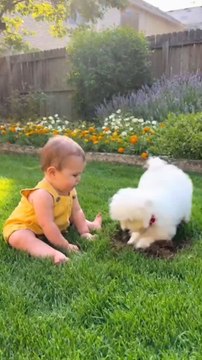 Baby Copies Puppy Digging 😂🐾 | Cutest Backyard Fun!”🌿 Hashtags:#BabyAndPuppy #CuteMoments #FunnyBaby #AdorableDuo #WholesomeVibes #ViralShorts #PureJoy #BabyLaughs #TooCute #AnimalFriendship #Heartwarming #InnocentLove