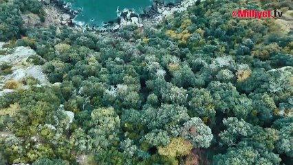 Milli füze TAYFUN'dan tam isabet! Görüntüler nefes kesti