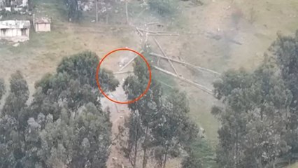 VIDEO | Atraparon en flagrancia a sujetos que estaban talando ilegalmente eucaliptos en Bogotá