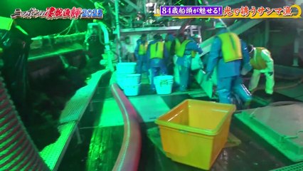 ニッポンの凄腕漁師２０２５ 2025年日10月26日 84歳船頭が魅せる！サンマ乱舞奇跡の瞬間