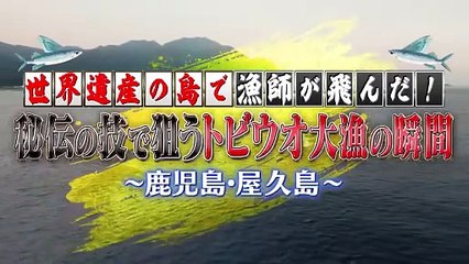 ニッポンの凄腕漁師２０２５ 2025年日10月26日 屋久島秘伝！空飛ぶ魚の大漁劇！