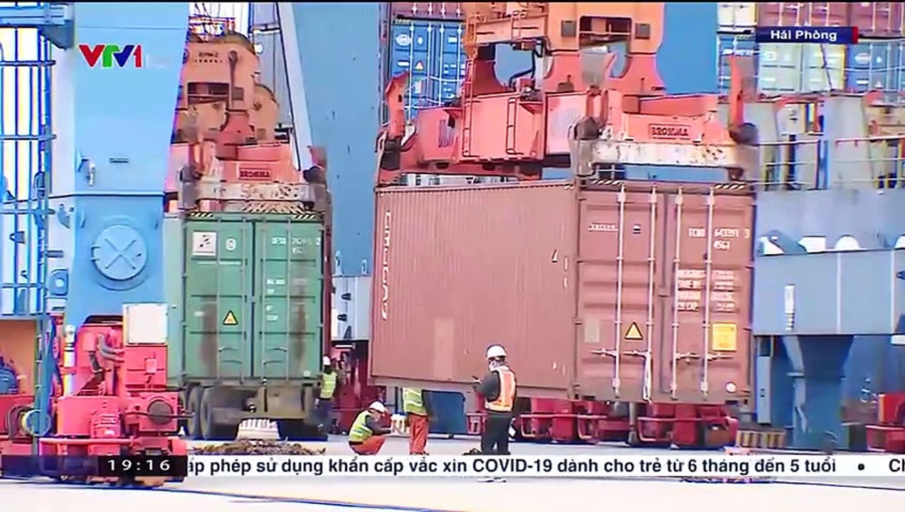 Thời sự 19h VTV1 - 01-02-2022 - Video đã phát trên VTV1 - VTV.VN