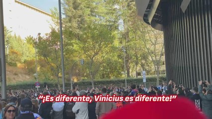 Cánticos contra Vinicius