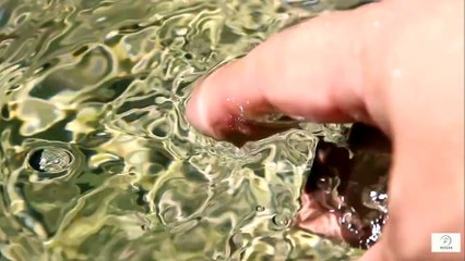 “How Swimming Can Prevent Falls and Improve Balance — The Gentle Way to Stay Strong and Steady”