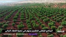 البرنامج الوطني للتشجير يعزز مسيرة السعودية الخضراء