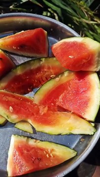 Watermelon shorts #dailymotionshorts #viralvideo