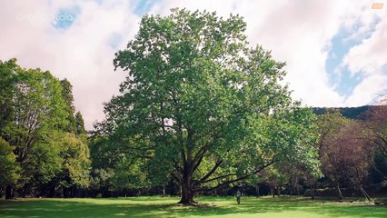 Ep.6 - Takumi-kun Series: Drama - EngSub