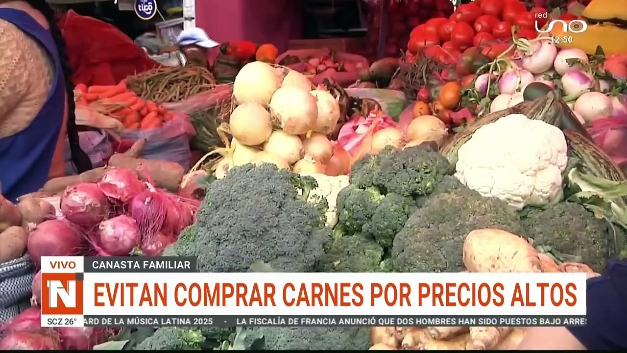 NTV MEDIO DIA