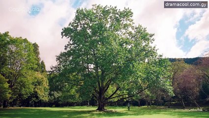 Ep 6 Takumi - kun Series Drama Engsub