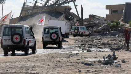 Cesa el fuego en Gaza: alivio, júbilo e incertidumbre