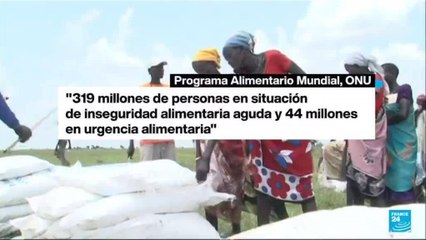 Niveles de hambre alcanzan cifras récord en el mundo