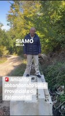 Palomonte (SA) - Materiale pericoloso lasciato lungo la strada (26.10.25)