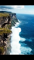 Savanna to Sea: A Giraffe's Escape #shortsfeed #wildliferescue #trendingshorts #shorts #viralshorts